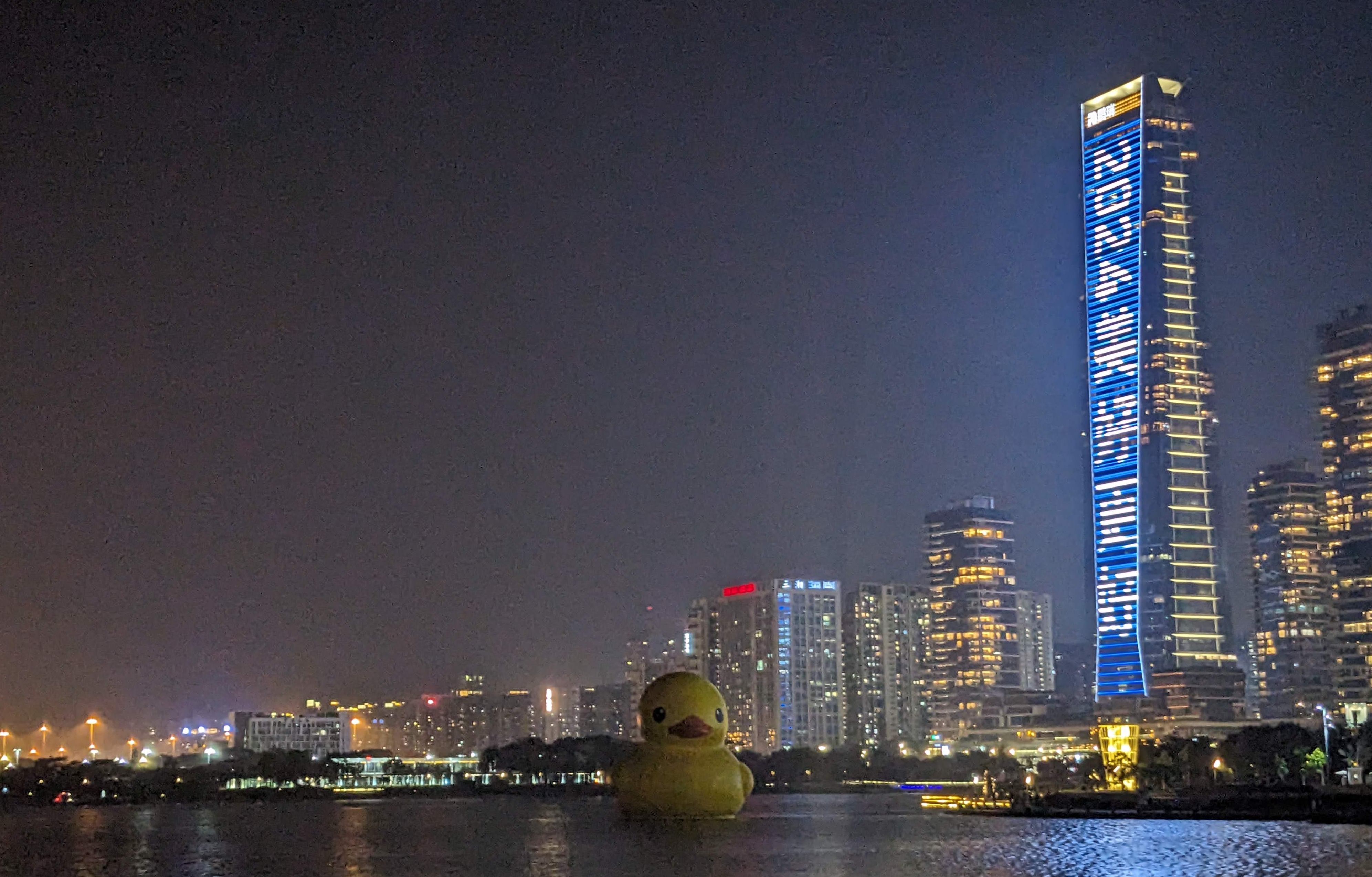 Shenzhen bay with a huge inflated balloon duck, scenery, very beautiful