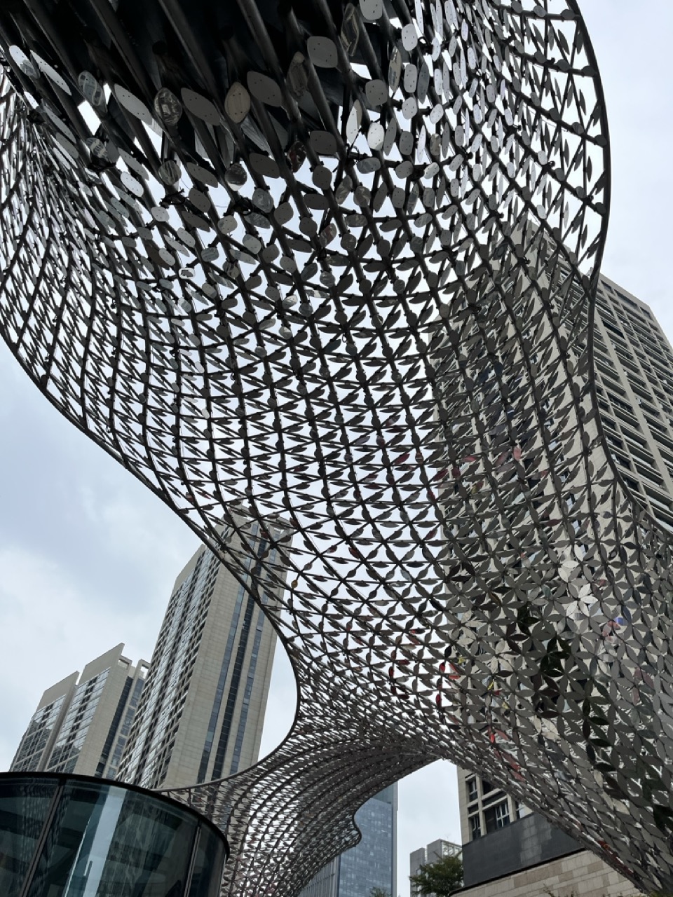 Celebrating Shenzhen